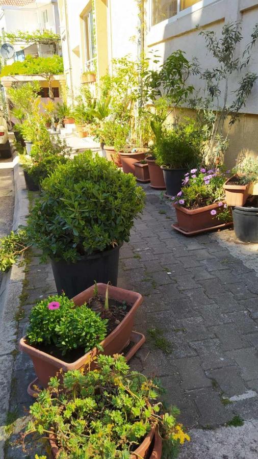 Senka Apartman Budva Kültér fotó